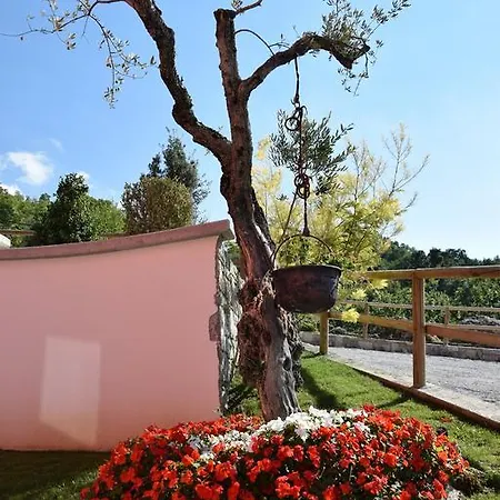 Alloggio per agriturismo Terra