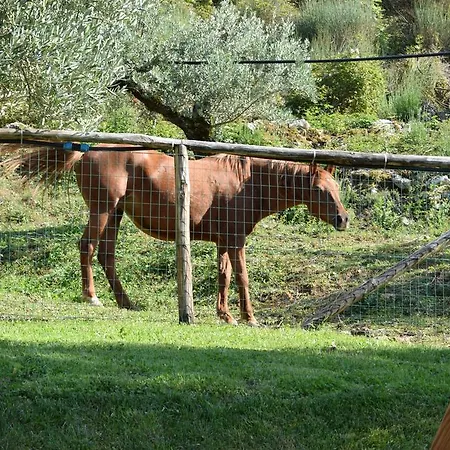 Terra Farm stay