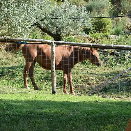 Terra Фермерский дом