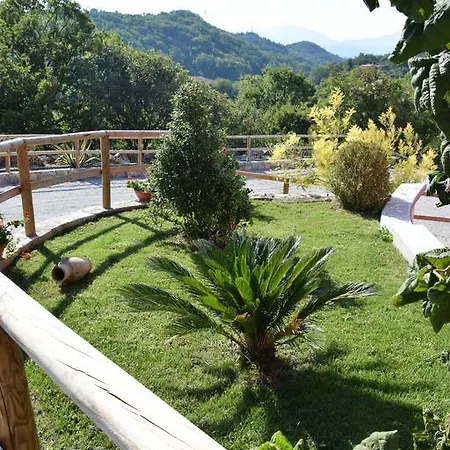 Terra * Rotonda