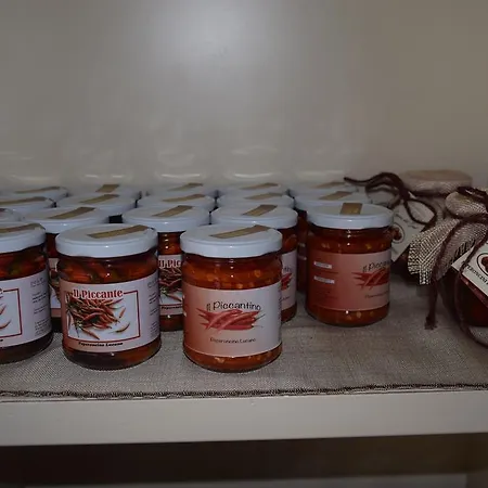 Terra Фермерский дом