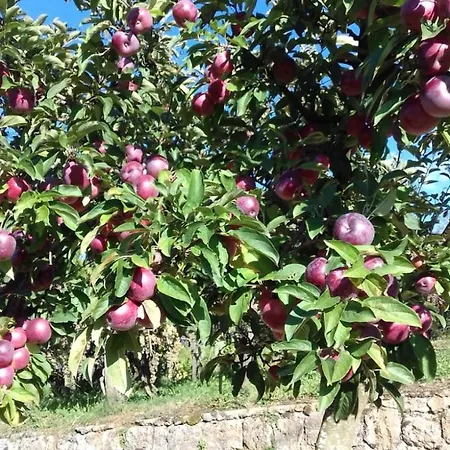 Agriturismo Terra Verde