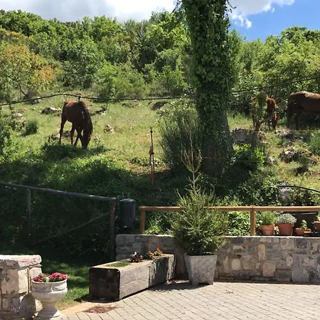 Terra * Ротонда