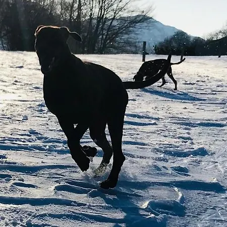 Terra Alloggio per agriturismo