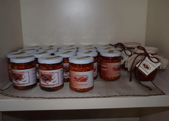 Terra בית חווה