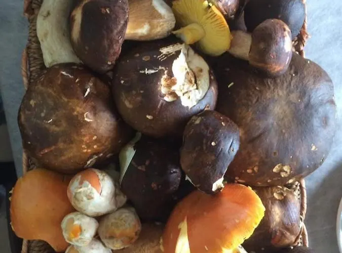 Alloggio per agriturismo Terra *