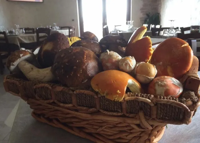 Alloggio per agriturismo Terra