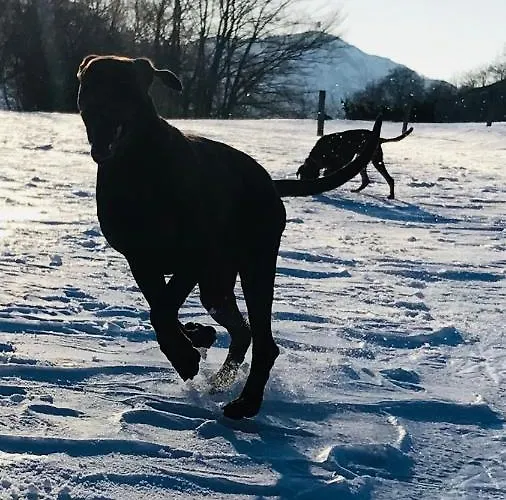 Terra Alloggio per agriturismo